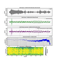 Waveform of the Strait of Gibraltar Earthquake